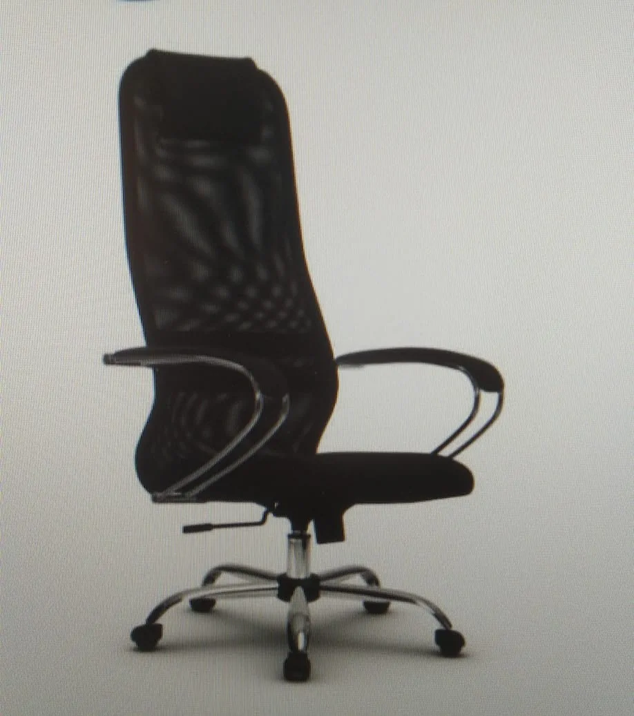catalog